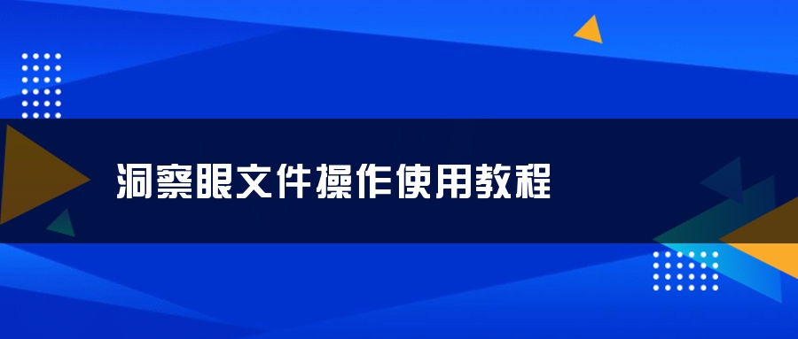 洞察眼文件操作使用教程