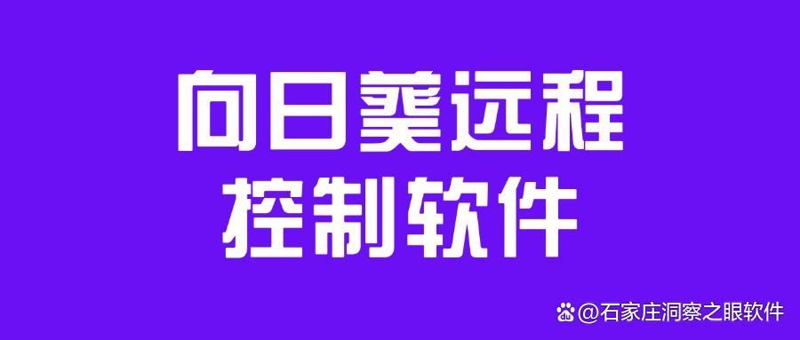 能够监控电脑操作的软件有哪些？2025年精选八款电脑监控软件(图7)