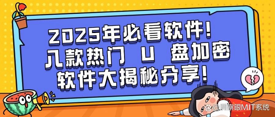 必看!2025八大宝藏 U 盘加密软件,守护你的移动数据安全(图1)