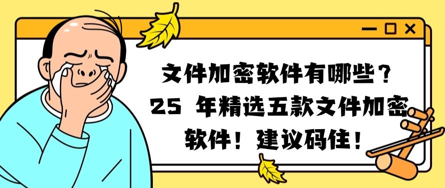 文件加密软件有哪些？2025 年精选五款文件加密软件！快码住！​(图1)