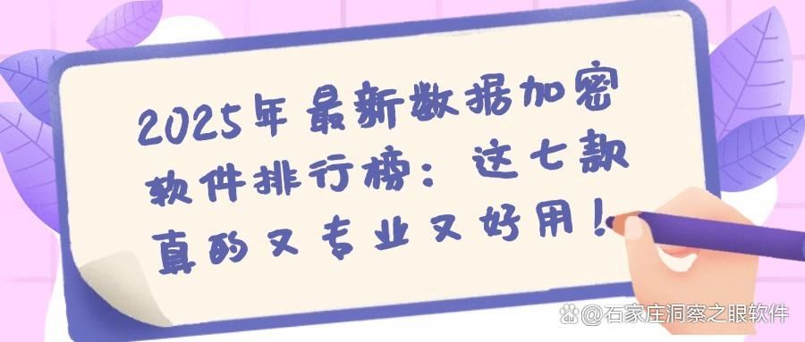 2025年公司必备!七款数据加密软件助力全面数据保护(图1)