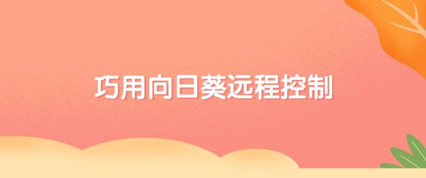 如何实时监控电脑屏幕？这五种电脑监控方法分享，分分钟学会(图7)