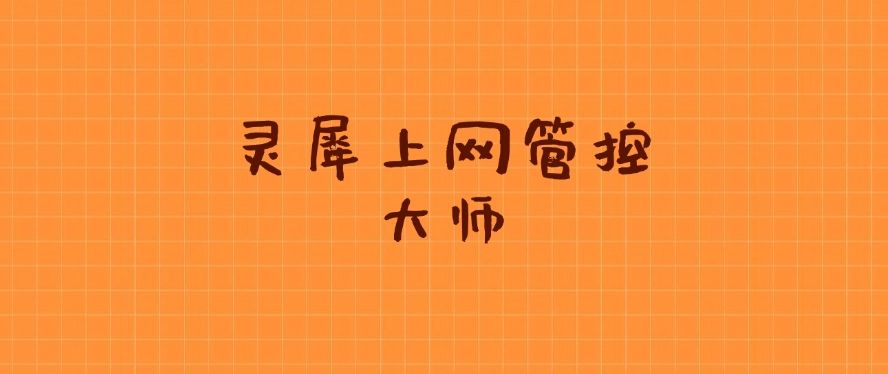 上网行为如何监控？请收下这六款上网监控app，好用不踩雷(图7)
