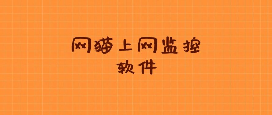 上网行为如何监控？请收下这六款上网监控app，好用不踩雷(图6)