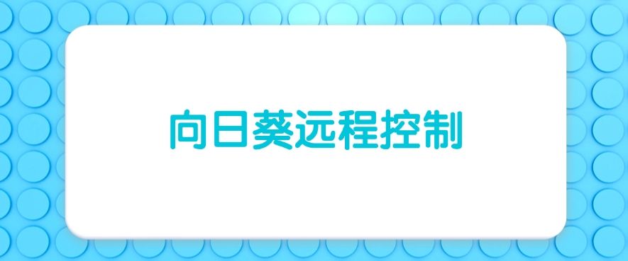 远程实时监控电脑屏幕软件有哪些？这六个软件，建议码住！(图6)