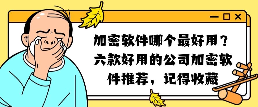 加密软件哪个最好用？六款好用的公司加密软件推荐，25年最新分享(图1)