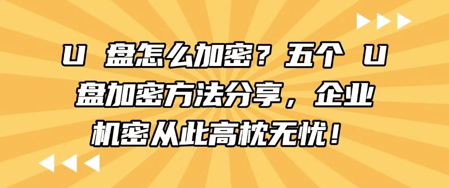 U 盘怎么加密？五个 U 盘加密方法分享，让U盘不再泄露！(图1)