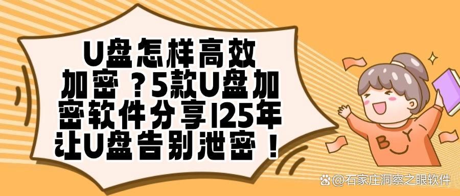 如何对U盘文件加密?分享5个U盘加密软件给你,保护数据安全(图1)