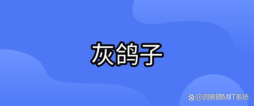 电脑监控软件有哪些?七款电脑监控软件必备,2025 年最新整理!(图8) 电脑监控软件有哪些?七款电脑监控软件必备,2025 年最新整理!(图8)
