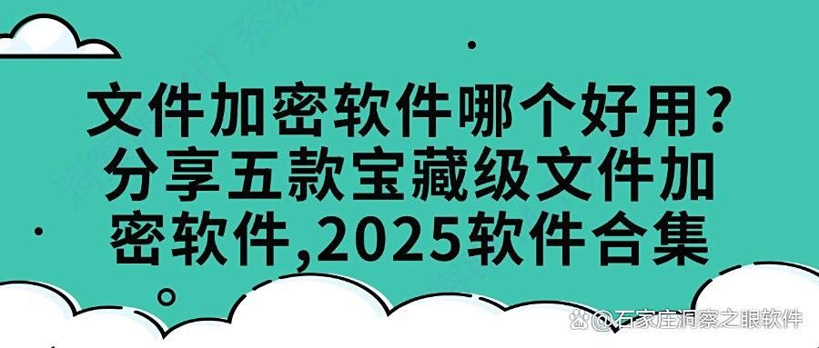 怎么加密文件?试试这五款文件加密软件,2025最新排行(图1)