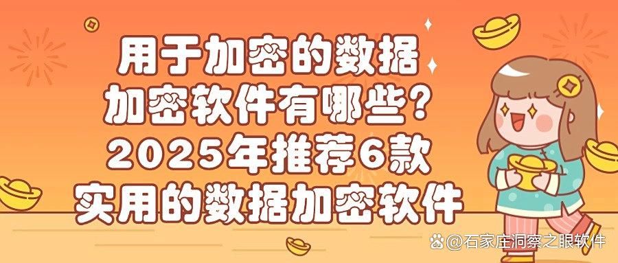 2025年数据加密软件排行榜:这6款数据加密软件真的好用又安全(图1)