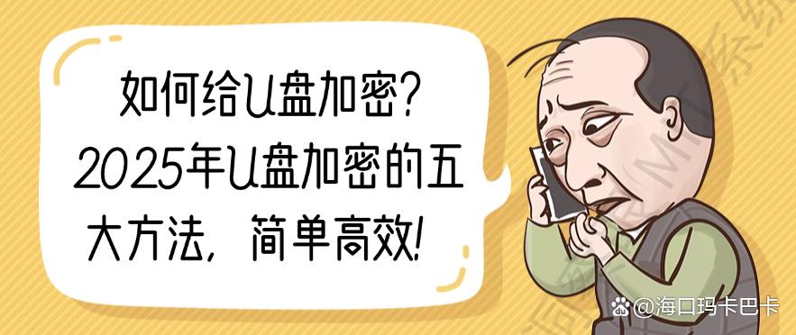 如何给U盘加密？2025年U盘加密的五大方法，简单高效！一定要码住(图1)