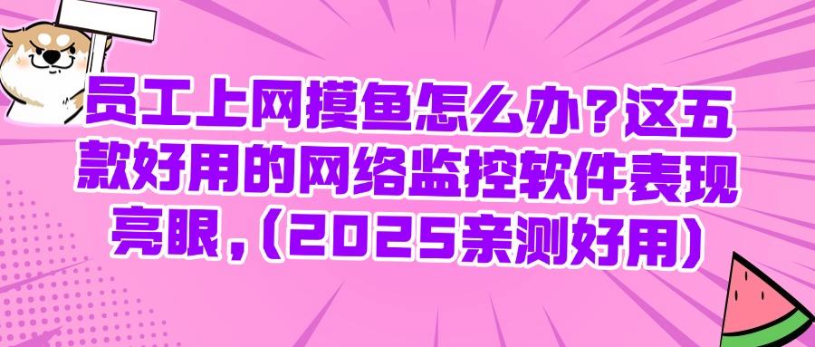 网络监控软件哪个好?2025年最受欢迎的五款网络监控软件推荐(图1)