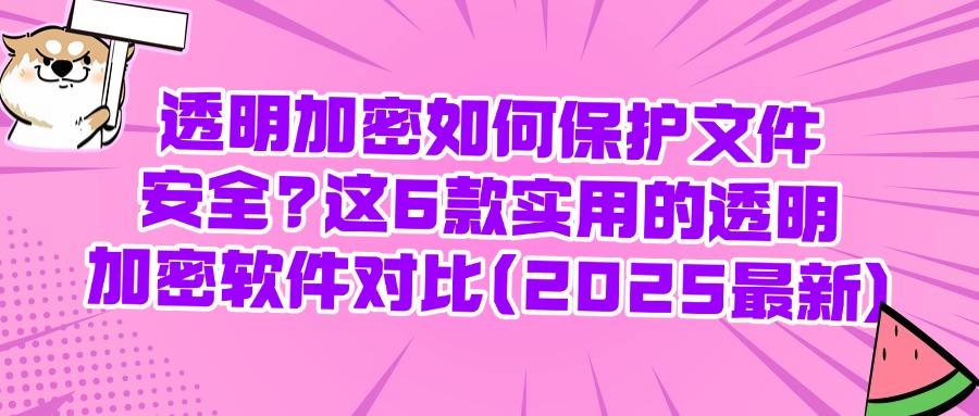 透明加密软件最新排行榜!熬夜整理2025年6大透明加密软件(图1)