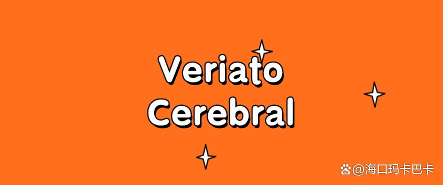文件如何防泄密?分享七个经典好用的文件防泄密软件,码住了!(图7) 文件如何防泄密?分享七个经典好用的文件防泄密软件,码住了!(图7)