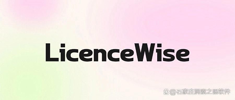 如何筑牢企业软件合规防线?盗版软件检测七大工具深度评测(图6)
