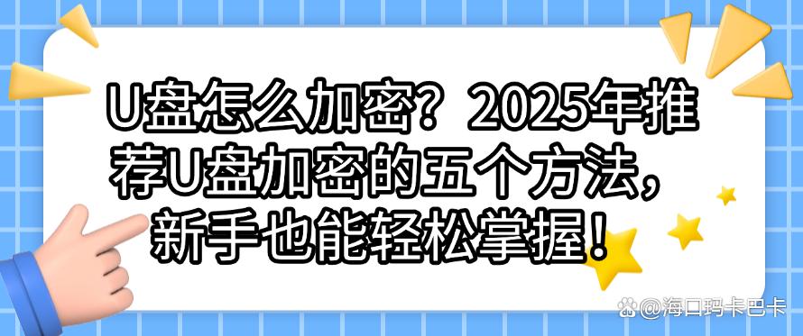 U盘怎么加密？2025年推荐U盘加密的五个方法，小白也能快速学会！(图1)