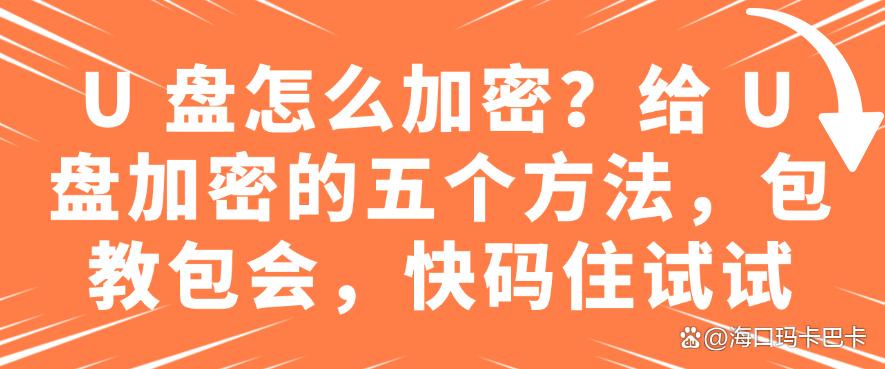 U 盘怎么加密？给 U 盘加密的五个方法，包教包会，快码住(图1)