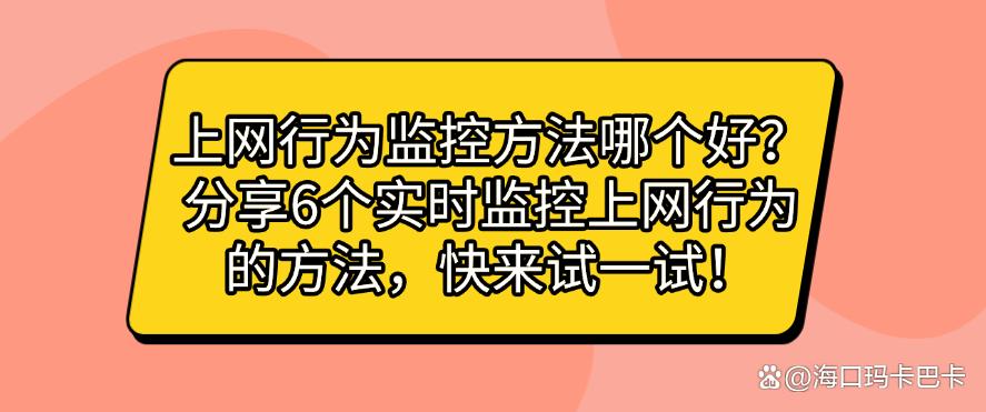 上网行为监控方法哪个好?分享6个实时监控上网行为的方法!(图1) 上网行为监控方法哪个好?分享6个实时监控上网行为的方法!(图1)